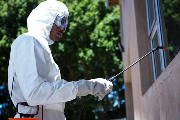 The Ultimate Guide to Pest Control Services: Everything You Need to Know