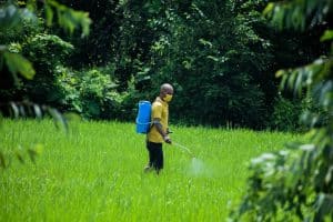 Read more about the article Eco-Friendly Termite Control: A Sustainable Approach