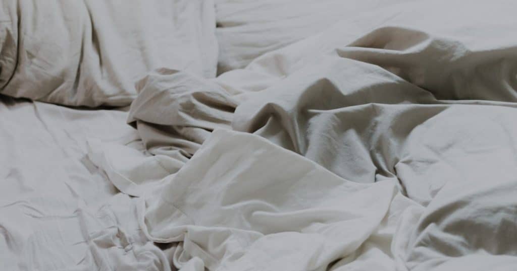 Read more about the article Termite Control and Home Insurance: What You Need to Know