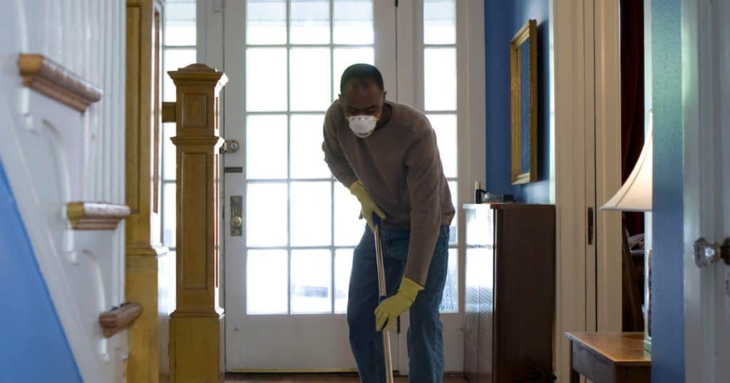 Read more about the article Termite Control During Renovations: A Comprehensive Guide